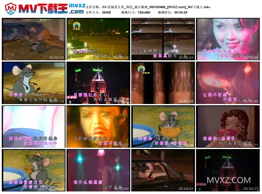 XX-老鼠爱大米_国语_流行歌曲_MB100488